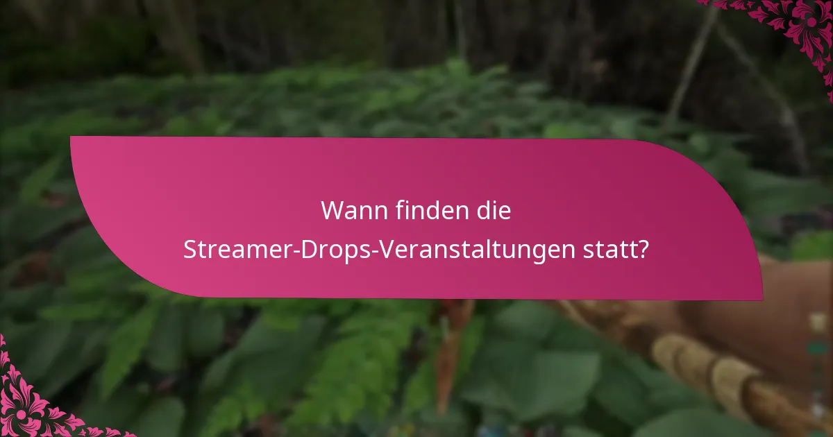 Welche Streamer nehmen an der Veranstaltung teil?