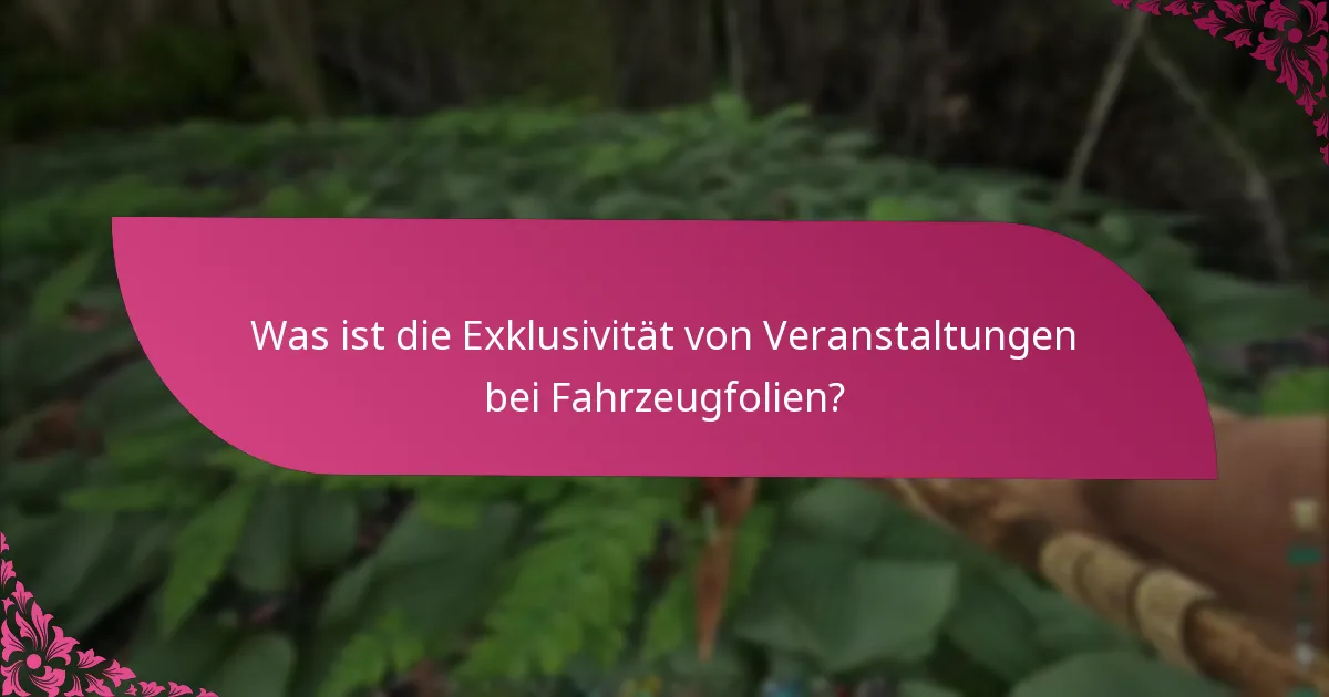 Wie navigiere ich durch den Anspruchsprozess für Fahrzeugfolien?